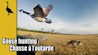 preview picture of video 'Fin de la pré-saison de chasse à l'outarde 2014 / End of pre-season goose hunting 2014'