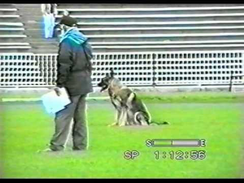 Чемпионат Германии по IPO (15-18.09.1994)