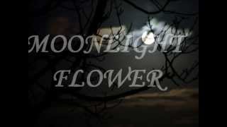 "MOONLIGHT FLOWER" by MICHAEL CRETU w/ Lyrics