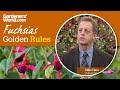 Caring for fuchsias - Golden Rules