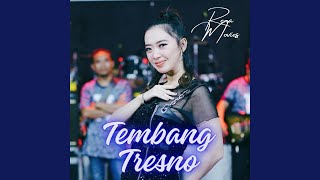 Download lagu Tembang Tresno (feat. New Pallapa) mp3 Download lagu Tembang Tresno (feat. New Pallapa) mp3