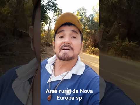 Nova Europa sp