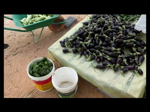 اسبوع حافل مزرعتنا اجواء شتويه مشتريات بسيطه من بو ٥ ️ ️