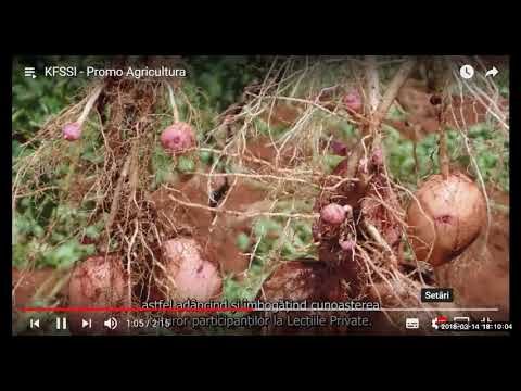 2018 03 14 PM Public Teaching in Romanian - Cursuri publice în română