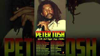 Download lagu Peter Tosh Greatest Hits Full Album - Best Songs Of Peter Tosh mp3