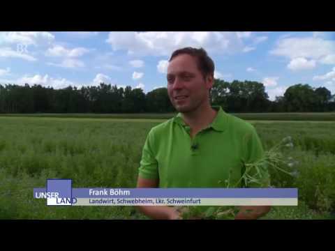 22893 agriculture cuisine BR Seltenes Gewürz für Brot und Käse׃ Schabzigerklee ¦ Unser Land ¦ BR