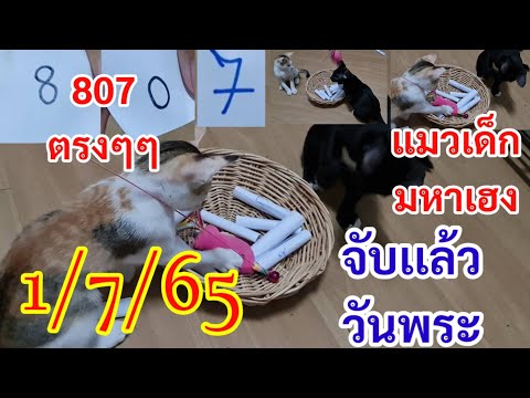 หวยดี