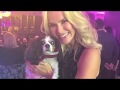 Lucy S Story Fighting Back Against Puppy Farming
