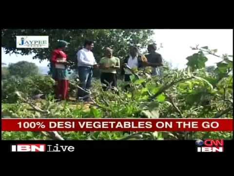 download lagu mp3 mp4 Buy Vegetables Online Delhi, download lagu Buy Vegetables Online Delhi gratis, unduh video klip Buy Vegetables Online Delhi