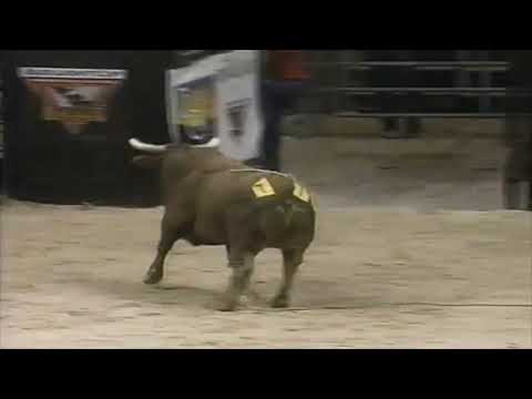 Hedgehog bucks Curtis Jessee - 96 PBR Finals