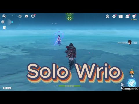 Solo Wriothesley C6 R1 Vs Raiden Genshin impact