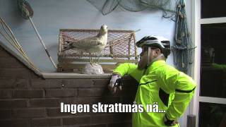 preview picture of video 'Jag tänker VISST följa med!!, del 2'