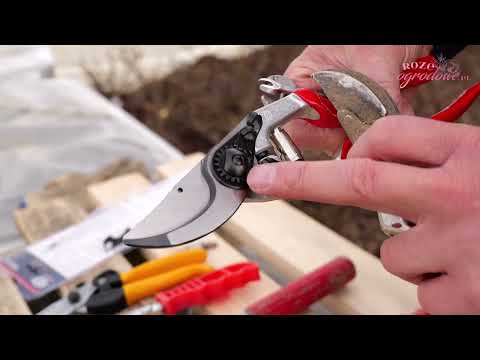 4 kroki do sprawnego sekatora. Zadbaj o sekator aby służył długie lata.