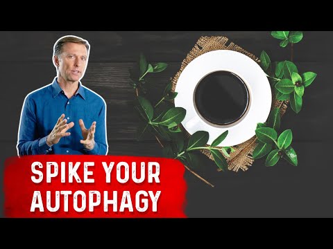 The 7 Powerful Ways to Increase Autophagy
