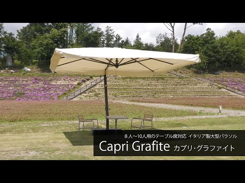 parasol-design-pergola-moderne-bois-forme-ovale