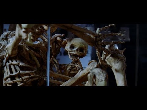 Doom (2005) - 24th Chromosome | Lucy (HD)