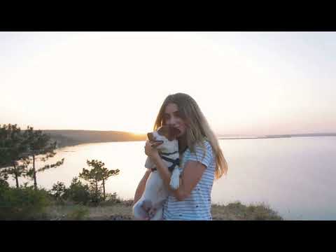 The Deal -  a best song for dog lovers about unconditional love  between dogs and their owners..