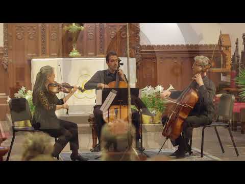 Sonata No. 1 in G major, BWV 1027, Mvt. 3  - J.S. Bach