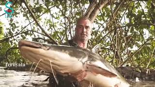 Download lagu Petualangan Memancing Ikan Raksasa di Sungai Amazon mp3