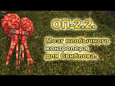 Мозг необычного контролера для Свиблова. ОП-2.2.
