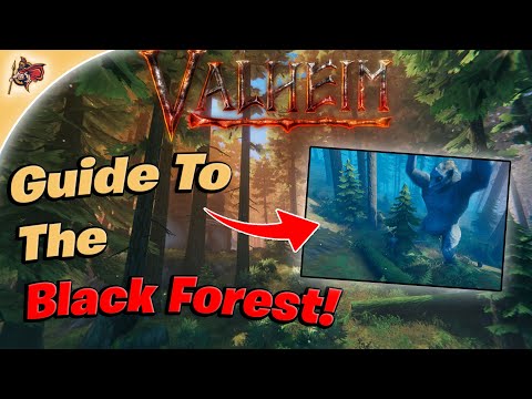 Valheim - Guide To The Black Forest! (Walkthrough + Guide)