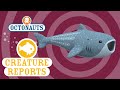 Octonauts Creature Report Whale Shark