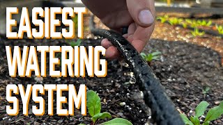 Easiest Garden Irrigation System