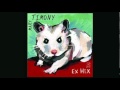 '9x3' by Mary Timony