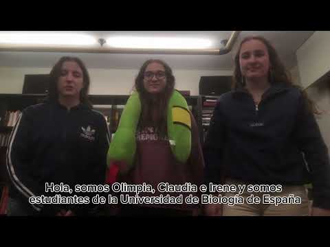 Travelling into a better world  - 4C