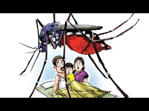 Follow these steps & prevent dengue