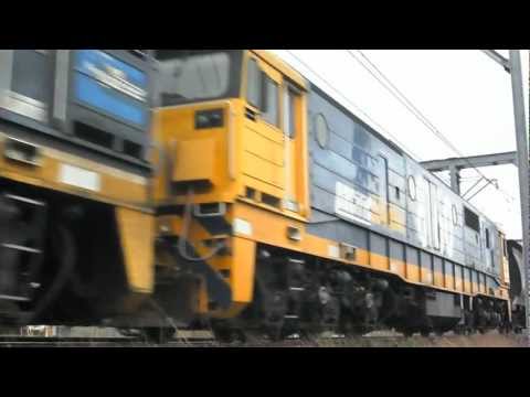 A pair of 81's on #9531 at Broadmeadow