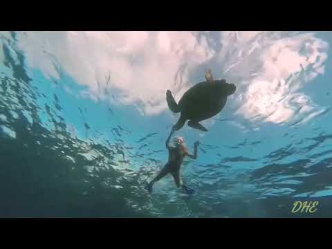 ONEIL & Pokaraet - In My Head (Video Edit)