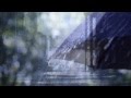 Bernward Koch  - Shades of Rain