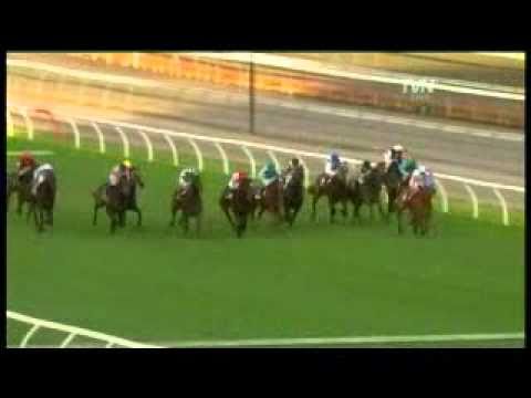 Steve Moran Selects - Underwood Stakes