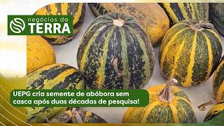 Miniatura do vídeo