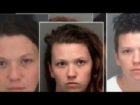 Pinellas County Mugshots 2025