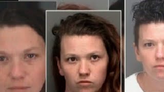 Pinellas woman with long arrest history busted again, mugshots tell sad story