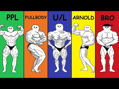 What is the BEST Training Split?