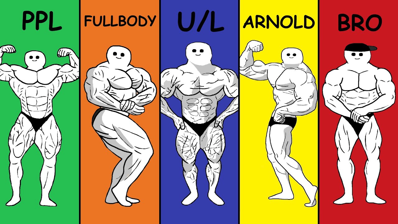 What is the BEST Training Split?