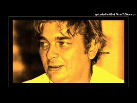 Cele noua raiuri - Nichita Stanescu