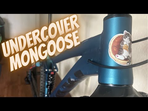 Turning a Mongoose Ledge X1 into a mystery MTB