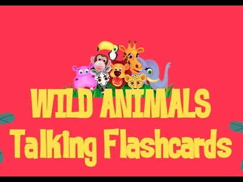 Wild Animals - Talking Flashcards