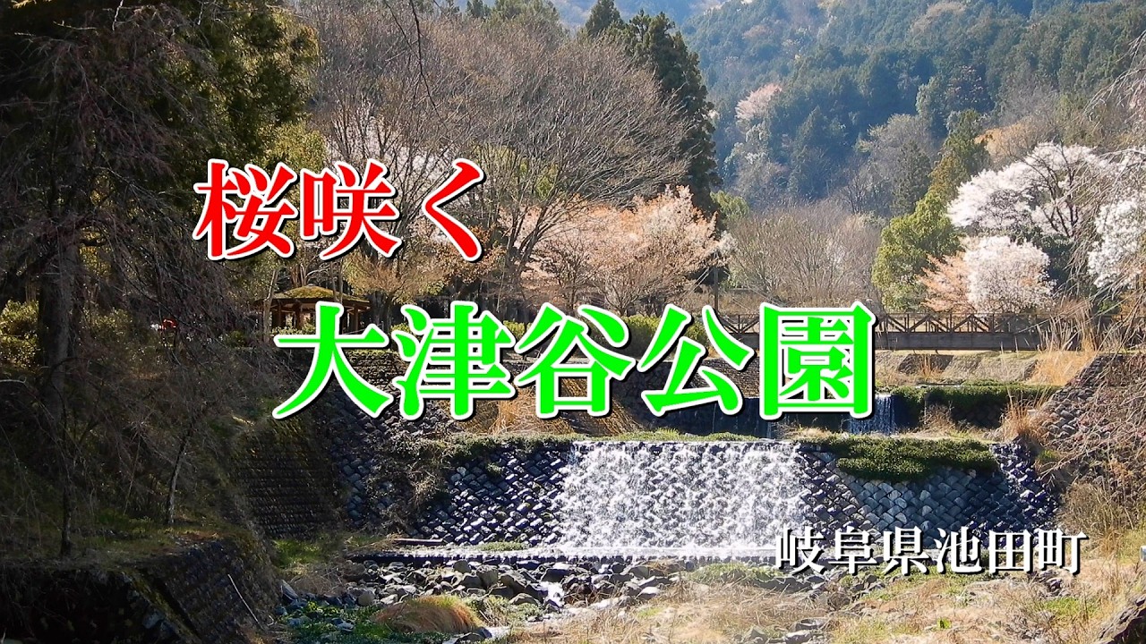 桜咲く　大津谷公園