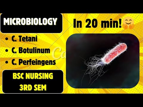 GRAM POSITIVE BACILLI Part- 1 || MICROBIOLOGY || B.Sc. Nursing 3rd Sem || Bacteriology
