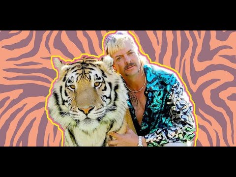 Tiger King What Really Went Down