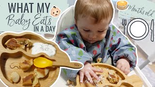 WHAT MY BREASTFED BABY EATS IN A DAY | What My Baby Eats In A Day | Weaning At 7 Months