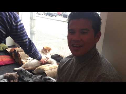 Cat time in Tallin at the Noori