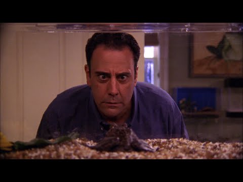 Everybody Loves Raymond - The Housefly (Part 2 of 2)