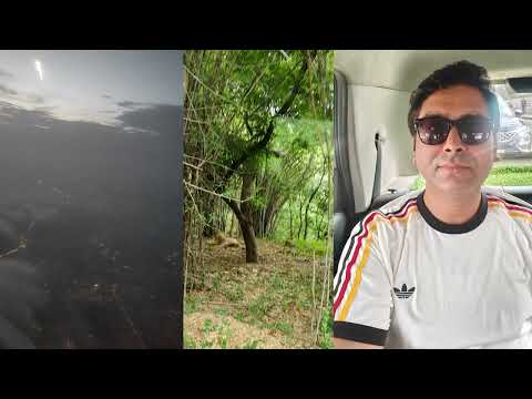 Bannerghatta Safari Experience 2026 | Tiger Came INCHES Away | 3-Day Old Baby Elephant | Bangalore