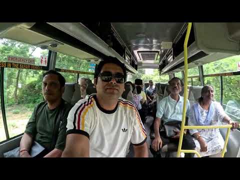 Bannerghatta Safari Experience 2026 | Tiger Came INCHES Away | 3-Day Old Baby Elephant | Bangalore